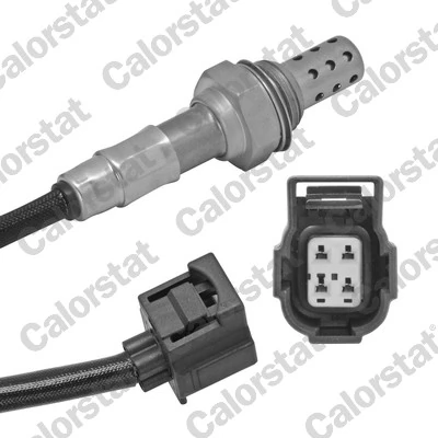 Oxygen Sensor
